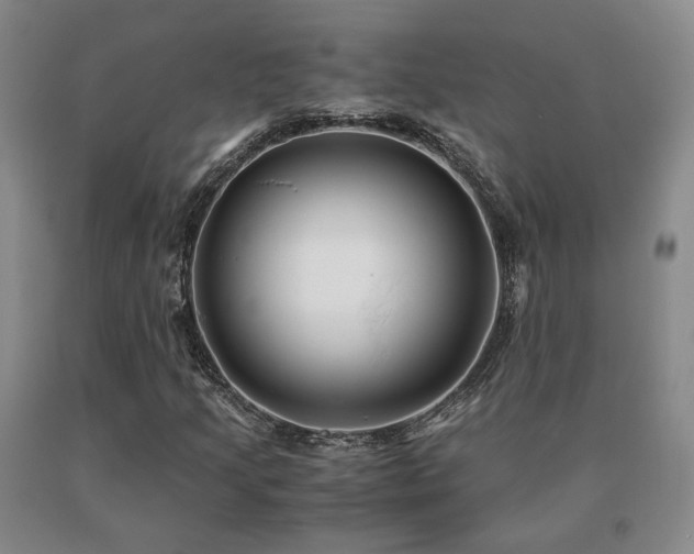 X0000091081205200708061330