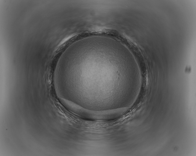 X0000091081206200708061330