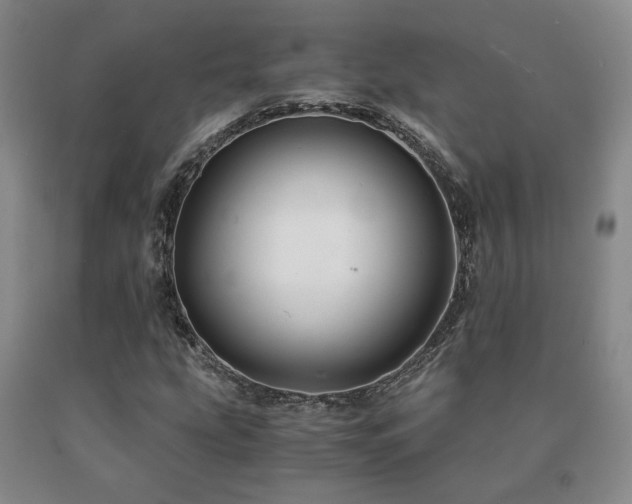 X0000091081207200708061330