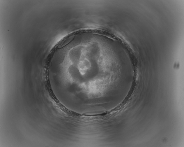 X0000091081208200708061330