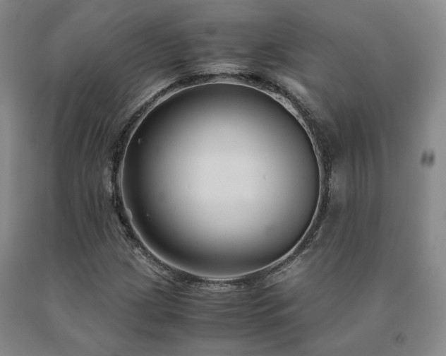 X0000091081209200708061330