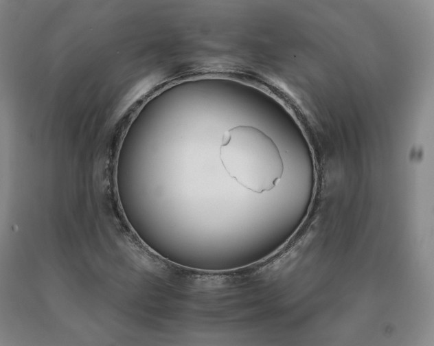 X0000091081211200708061330