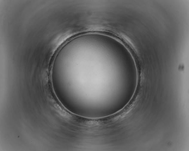 X0000091081212200708061330