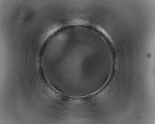 X0000091081213200708061330