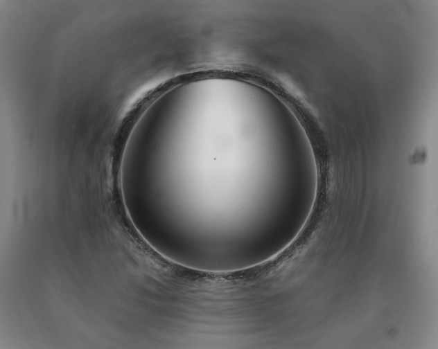 X0000091081214200708061330