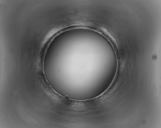 X0000091081215200708061330