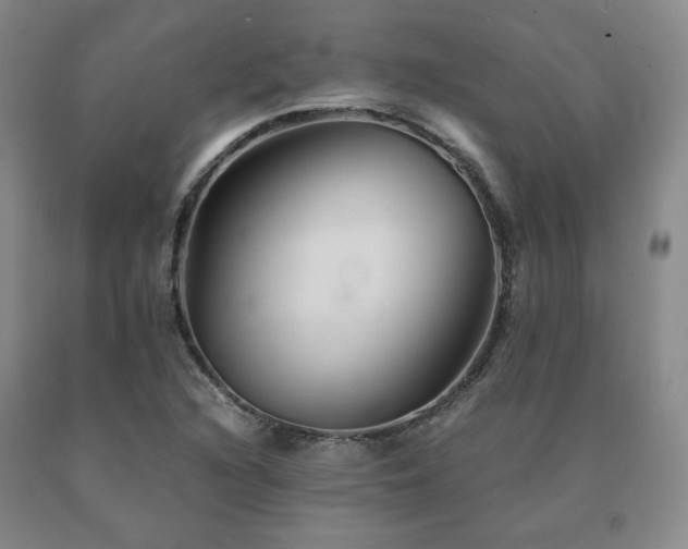 X0000091081216200708061330