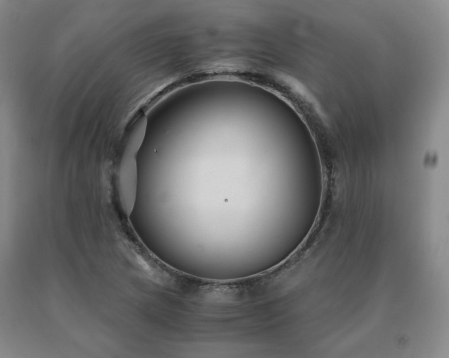 X0000091081217200708061330