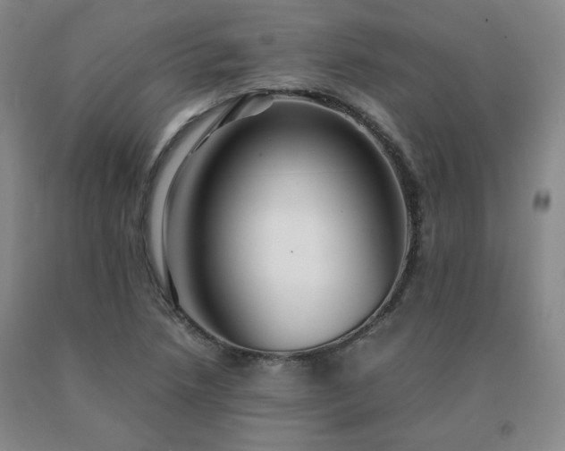 X0000091081218200708061330