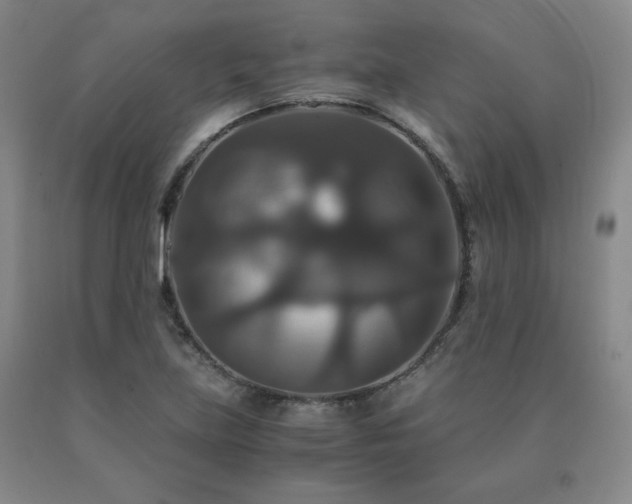 X0000091081219200708061330