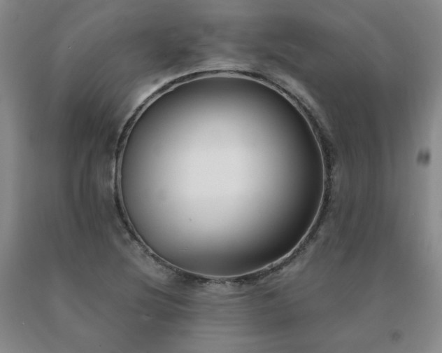 X0000091081220200708061330