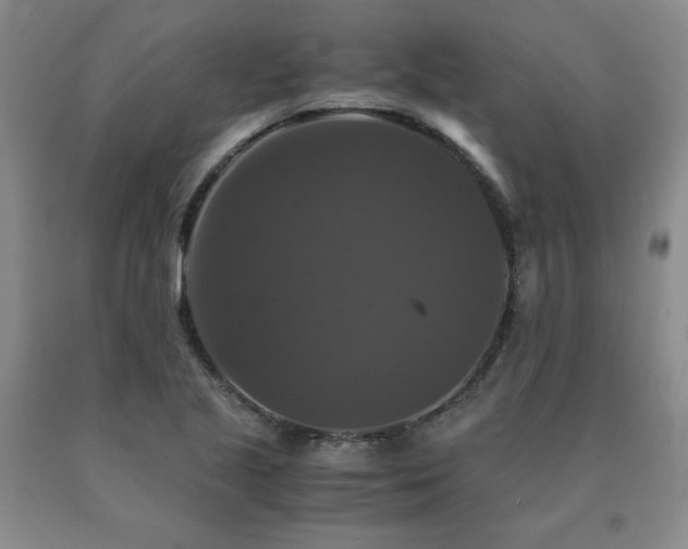 X0000091081221200708061330