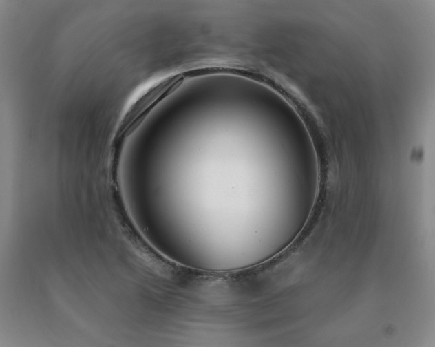 X0000091081222200708061330