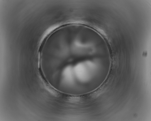 X0000091081223200708061330
