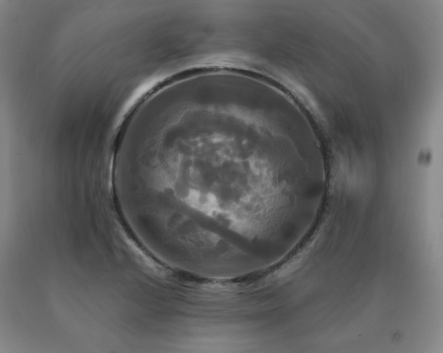 X0000091081224200708061330