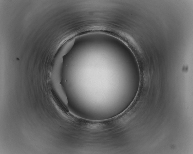 X0000091081225200708061330
