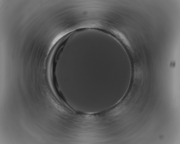 X0000091081226200708061330