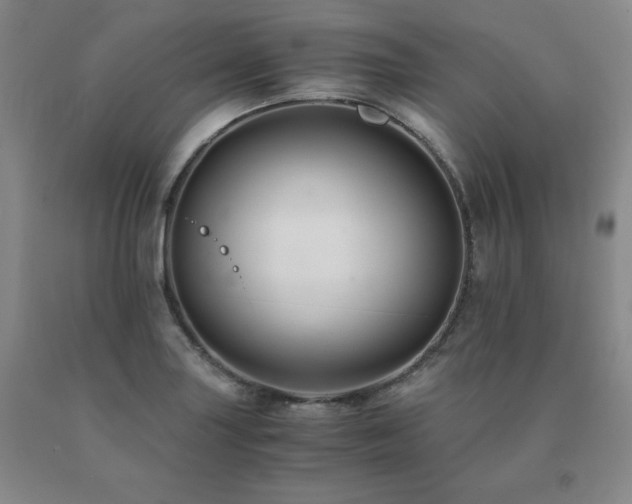 X0000091081227200708061330