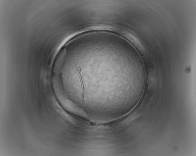 X0000091081228200708061330