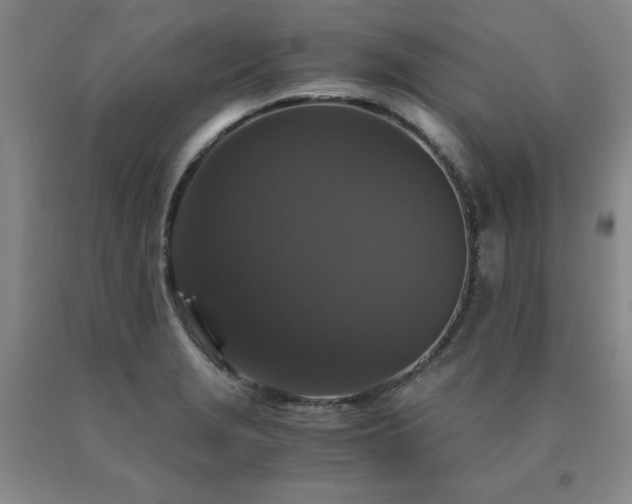 X0000091081229200708061330