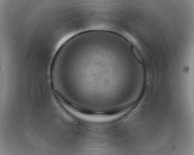 X0000091081230200708061330