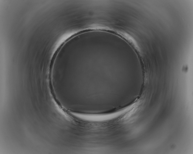 X0000091081231200708061330