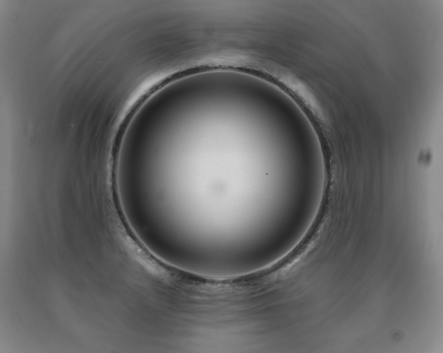 X0000091081232200708061330