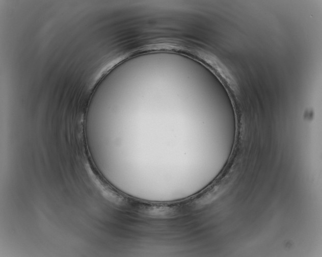 X0000091081233200708061330