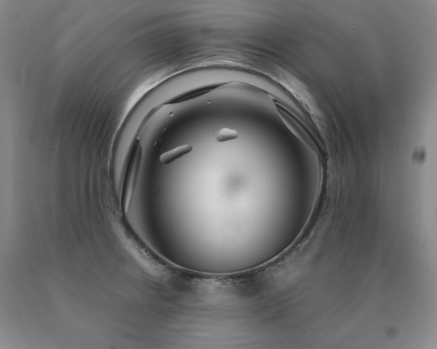 X0000091081234200708061330