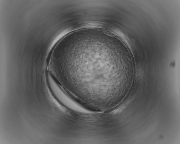 X0000091081235200708061330