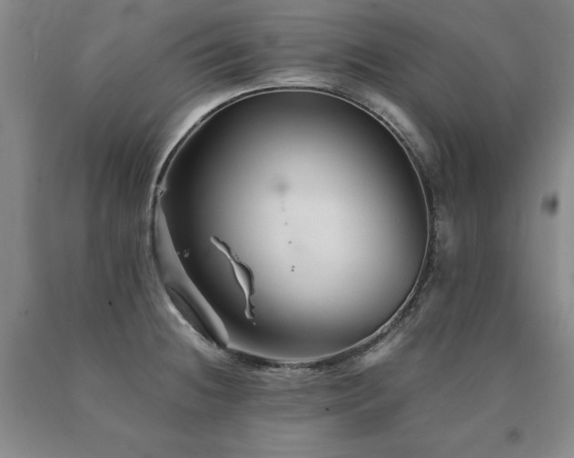 X0000091081236200708061330