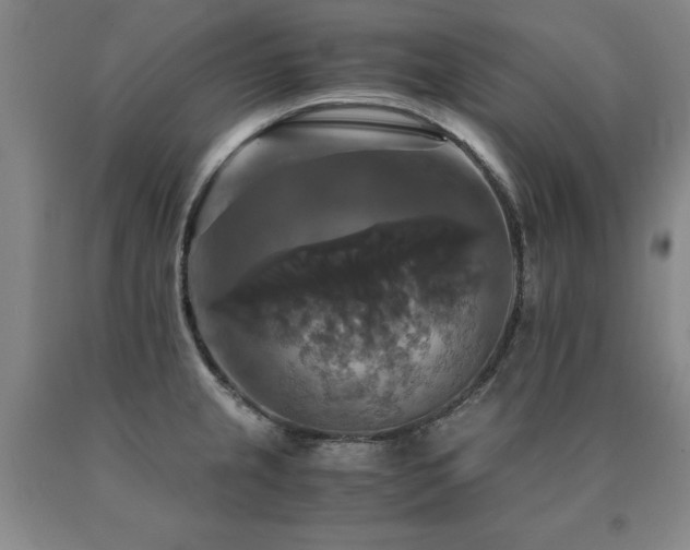 X0000091081237200708061330
