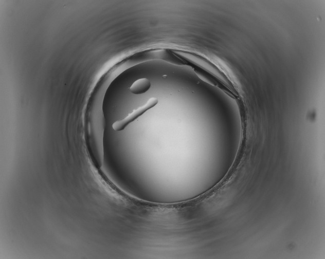 X0000091081238200708061330