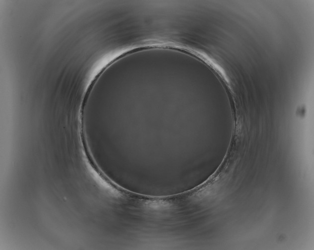 X0000091081239200708061330