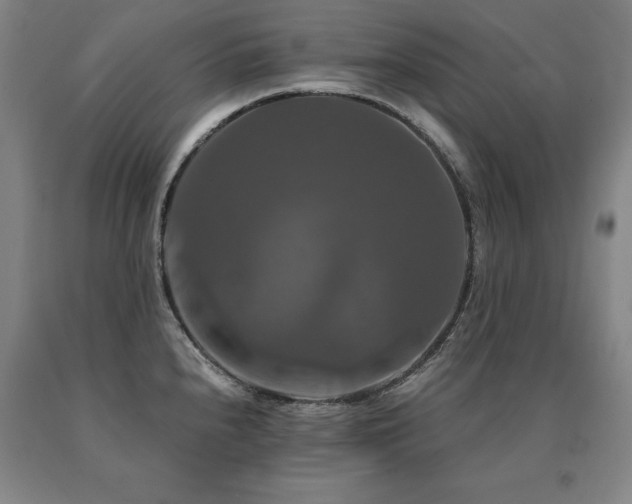 X0000091081240200708061330