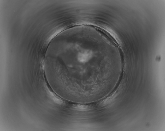 X0000091081241200708061330