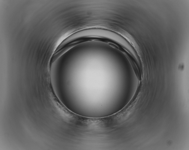 X0000091081242200708061330