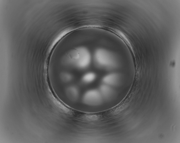 X0000091081243200708061330