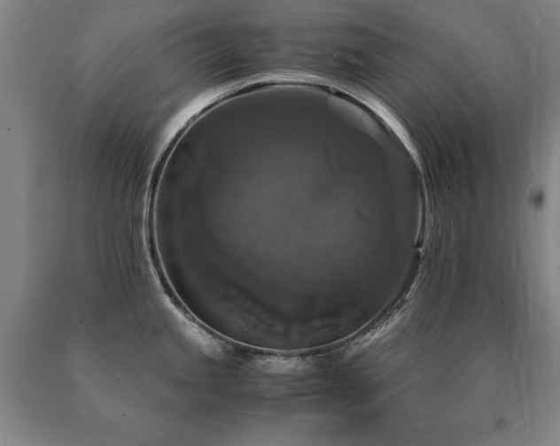 X0000091081245200708061330