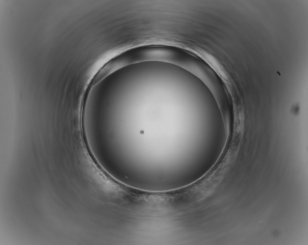 X0000091081246200708061330
