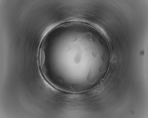 X0000091081247200708061330