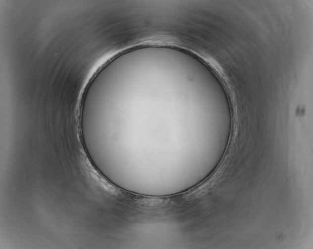 X0000091081248200708061330