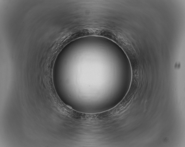 X0000091081249200708061330