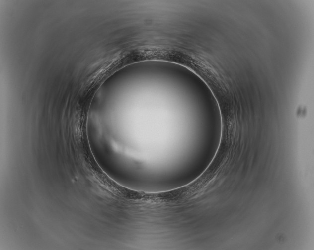 X0000091081250200708061330