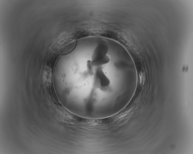 X0000091081251200708061330
