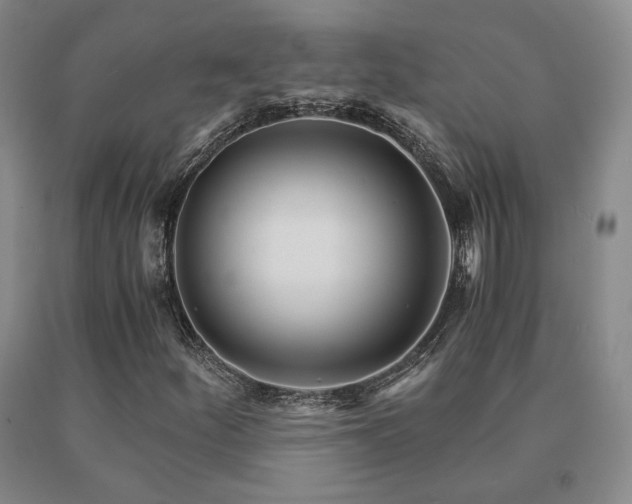 X0000091081252200708061330
