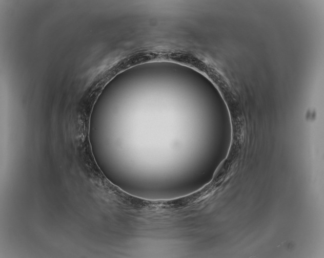 X0000091081253200708061330