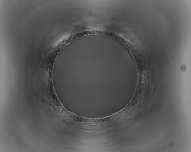 X0000091081254200708061330