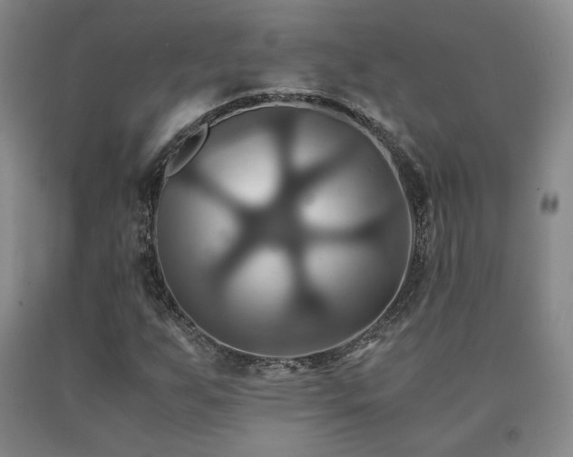 X0000091081255200708061330