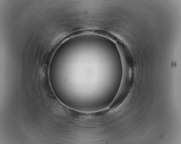 X0000091081257200708061330